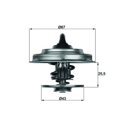 Termostat 65C M.Benz Lkw Bilyalı Tx 18 65