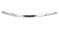 TAMPON IZGARA ÇITASI 222 ÖN ORTA KROM AMG S652228852821WEN