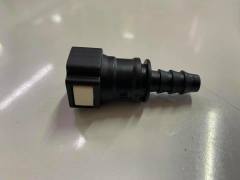 207354422-10159402069743518-