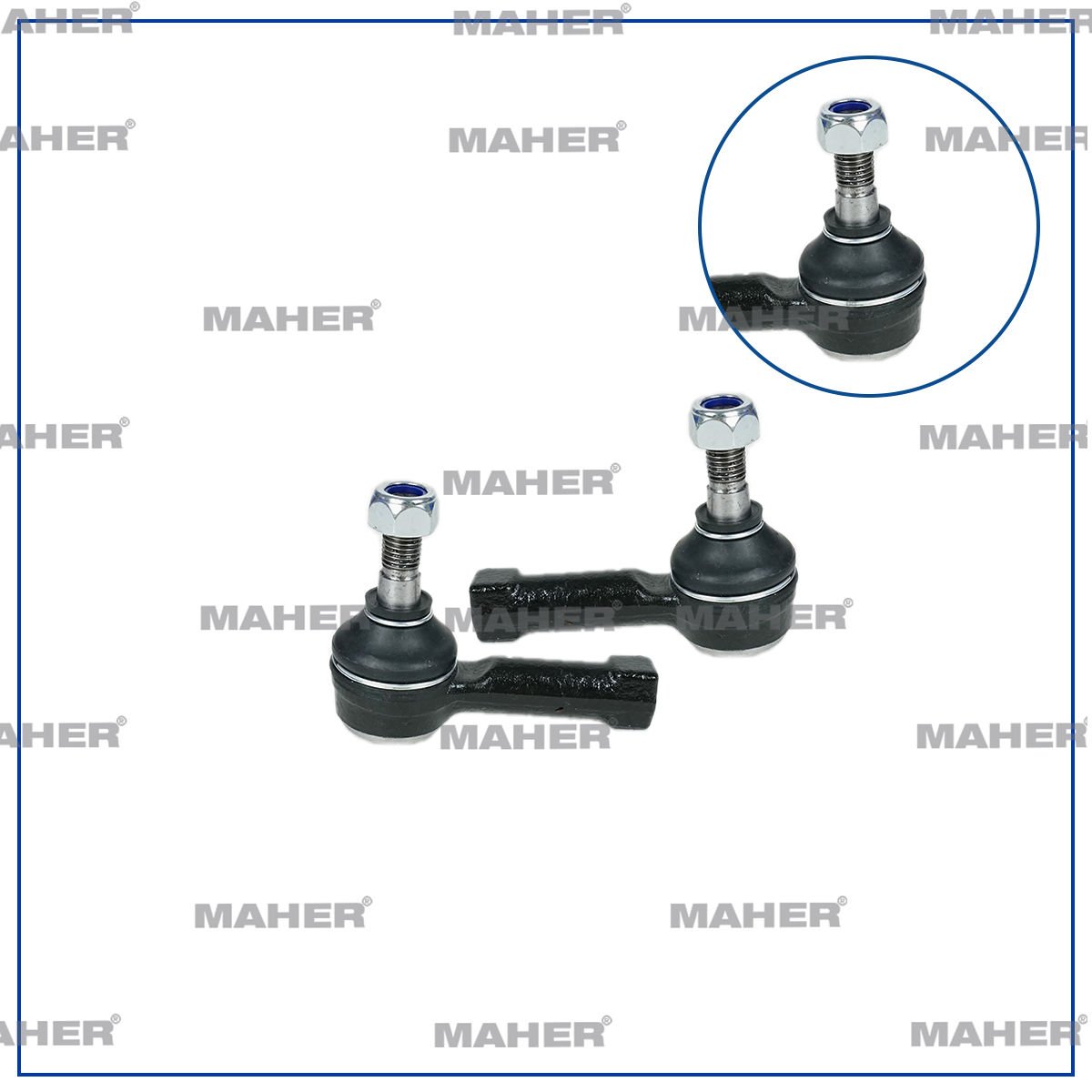 ROTBAŞI FAVORIT / FELICIA DİŞİ