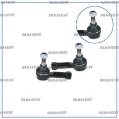 ROTBAŞI FAVORIT / FELICIA DİŞİ