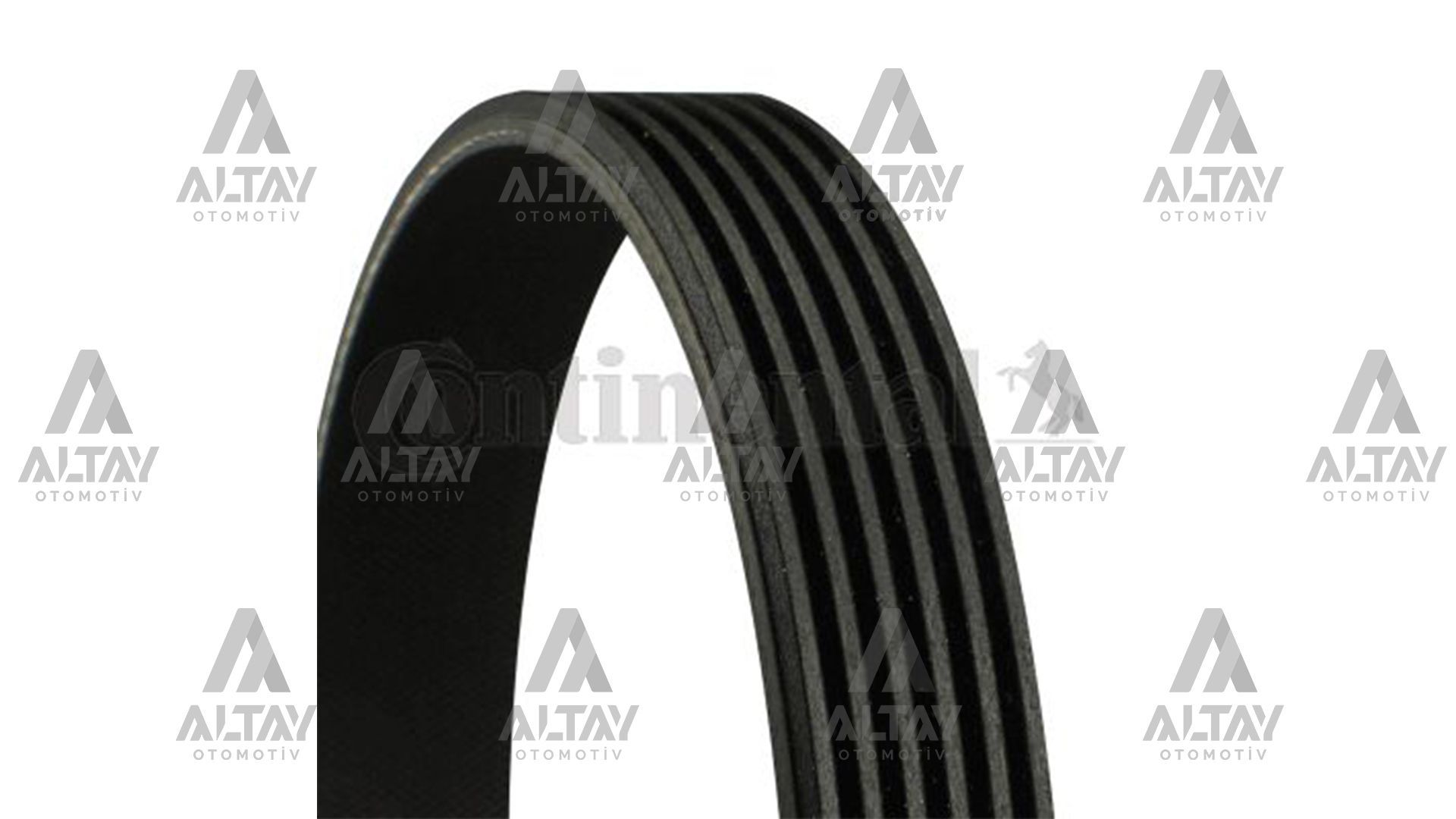 KANALLI KAYIŞ VAG / AUDI / SEAT / SKODA / OPEL / INSIGNIA 1.6 1.8 08=> FORD / FOCUS 1.8 2.0 16V 98-04 BMW 3-5