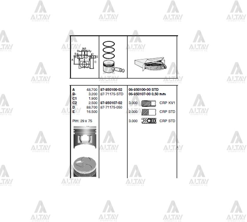 Piston Segmanlı H-100  97=> 0.50 8771175050