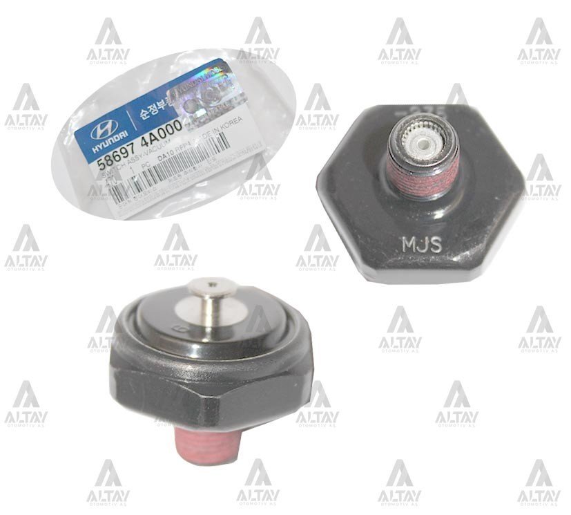 Müşür Vakum H-100 / Kmy / Starex Vestinghouse 586974A000