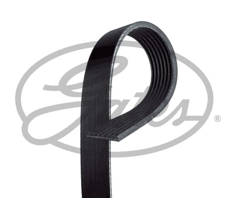 Kanallı V Kayışı Ford 7Pk3118, 7Pk3119, 7Pk3121, 7Pk3122 1750991 Cc1Q6C301Fa 7Pk3120Hd