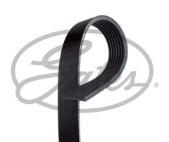 Kanallı V Kayışı Ford 7Pk3118, 7Pk3119, 7Pk3121, 7Pk3122 1750991 Cc1Q6C301Fa 7Pk3120Hd