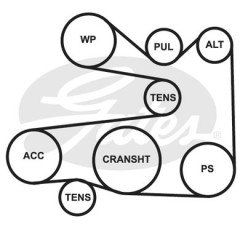 BMW X5 E53 4.4-4.6 CITROEN FORD BENZİNLİ KLİMA KAYIŞI 7507626