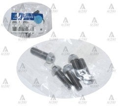 Civata Supap Ayar H-100 / Kmy / L-300 Plastik Uç 2453242500