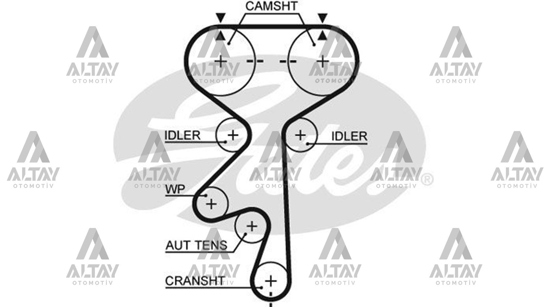 TRİGER KAYIŞI (169 DİŞ ) ASTRA F / VECTRA A / VECTRA B / OMEGA B X20XEV-X18XE-C18XE