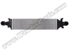 Turbo İnterkol Radyatörü W176 W246 X156 C117 [OM607 OM651] - 2465000900