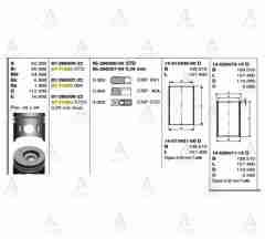 Piston Segmanlı Canter 449 Std 8771593Std