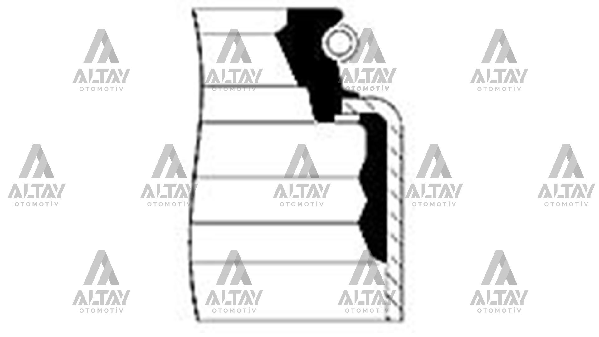 SUPAP LASTİĞİ ACCENT / GETZ / ELANTRA 04=> / I-30 / RIO / CERATO 16V (5,5x11x13,5x6,5x10,15)