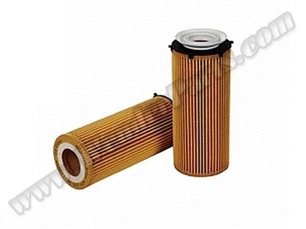 Yağ Filtresi N57 [E90 E70 E71 F10 F01] - DO7029