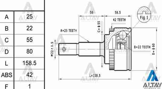Aks Kafası Dış Almera 00-06 / Absli 25X55X22 39211Bm528