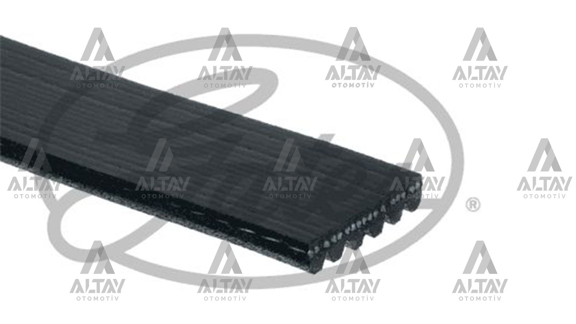 KANALLI KAYIŞ POLO / CORDOBA / FABİA 01=> BBY-BKY-BBZ-CGGB 1.4 16V