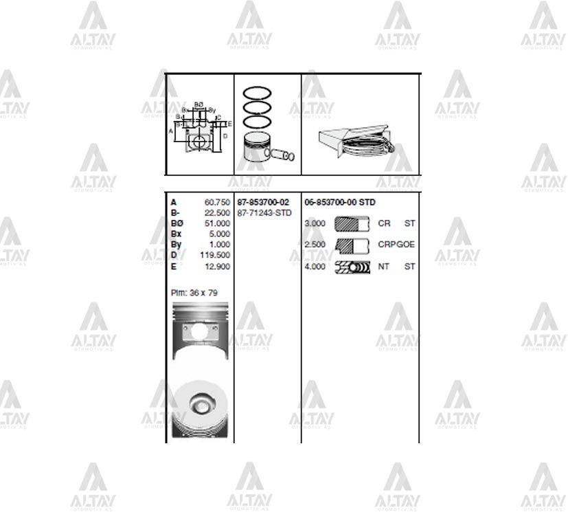 Piston Segmansız Npr-71 115Mm Std 8671243Std