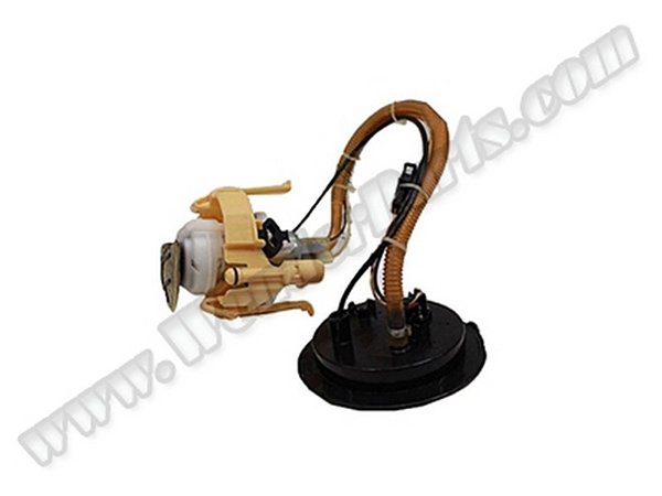 Komple Yakıt Pompası E65 [N52] - 16117170011