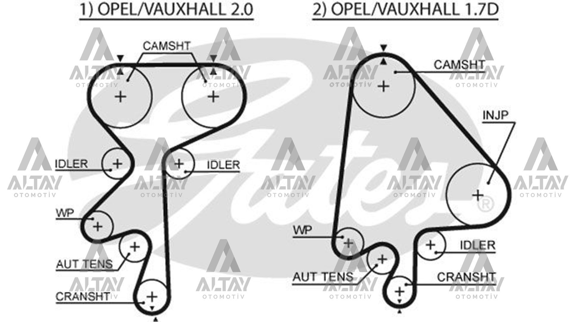 TRİGER KAYIŞI (176 DİŞ) VECTRA A C20NE / ASTRA F X17DTL