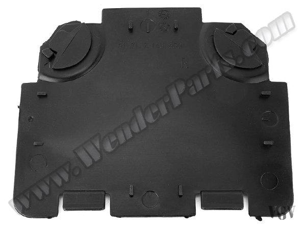 Çamurluk Davlumbaz Kapağı E90+LCI Ön Sağ (Ön Taraf) - 51717143850