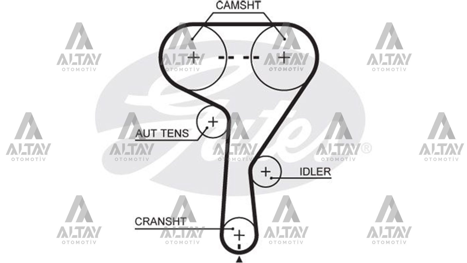 TRİGER KAYIŞI ASTRA G / ASTRA H / MERIVA Z16XEP-Z16XE-A16XER-Z16XER-A16LET