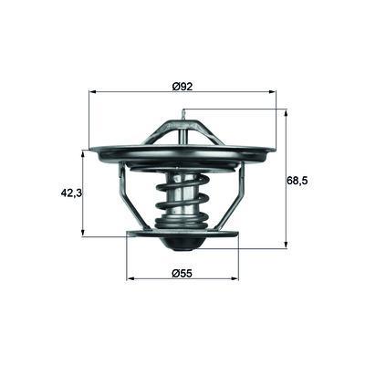 Termostat 71C Scanıa 112/113 550275 Tx 35 71
