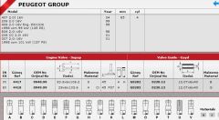 SİBOP TAKIMI 4417 4418 IN 8 E8 P206 P307 P406 2.0 16V