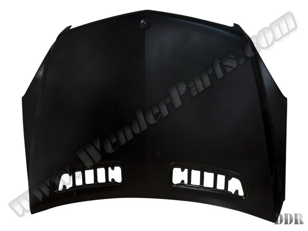 Kaput W251 (Alüminyum) 2010-13 - 2518800257A