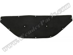 Kaput Süngeri W251 (OEM-Kalite) 2005-10