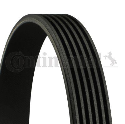 Vw A3 Golfv Jetta Passat V Kayış 028903137B 028903137B 028903137Bb 028903137T 06F260849E 12