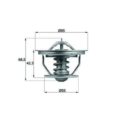Termostat 79C Rvı Tx 57 79