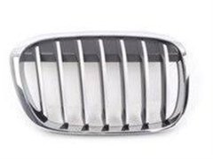 ÖN PANJUR SAĞL F48/X1 BMW 51117383366