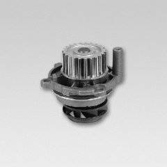 Su Pompası ALZ-ALT-BLR-BVY Gf5-Pas6 2001-09 - 06B121011M
