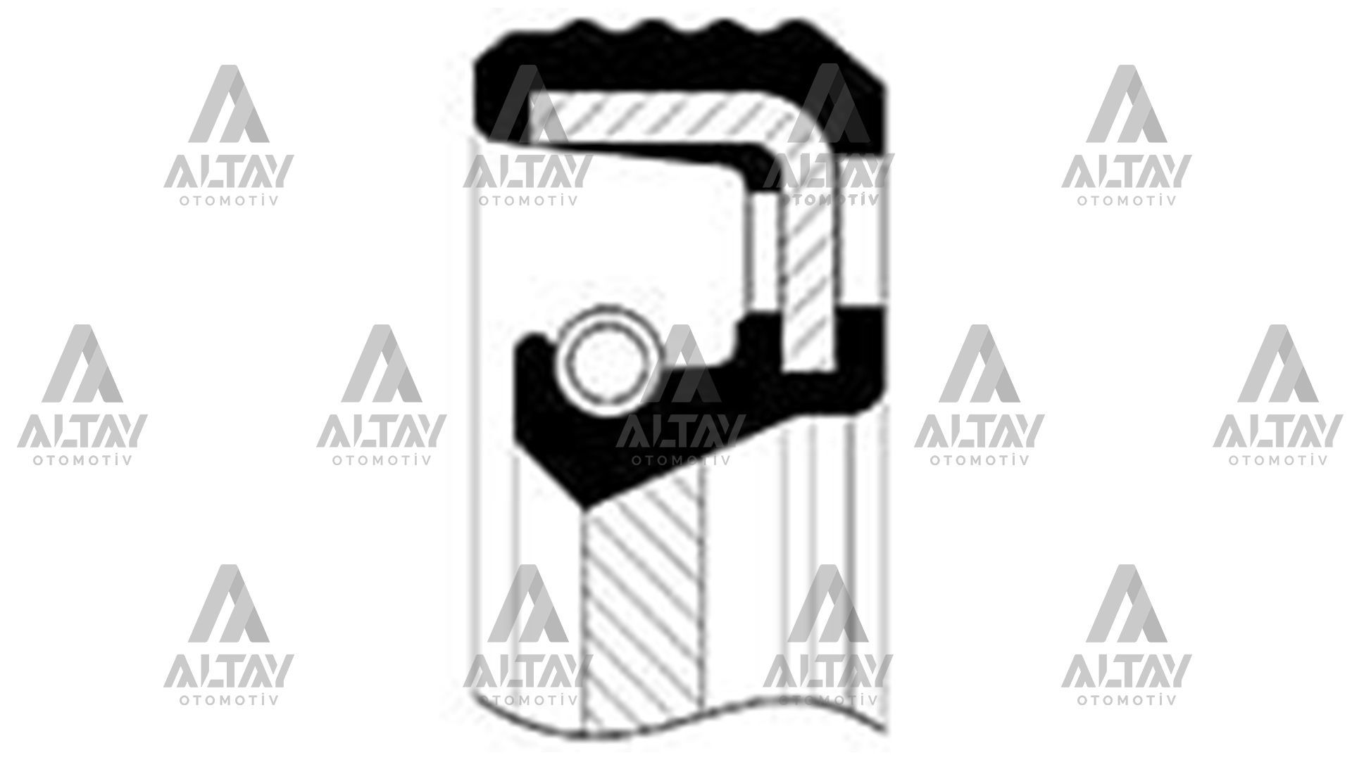 KEÇE DİFRANSİYEL DUCATO / BOXER / JUMPER / SOL ÇIKIŞ (43x59x10)