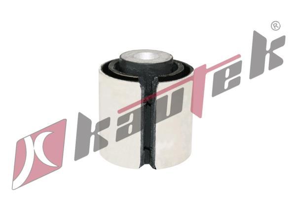 Bmw 1 Serıes (E81,E82,E87,E88) Travers Burcu, Arka