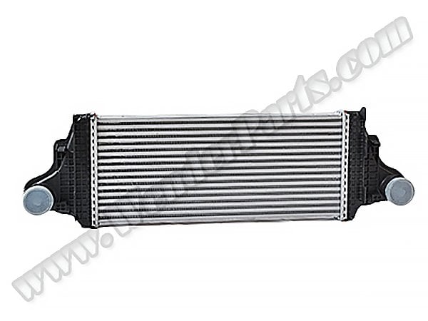 Turbo İnterkol Radyatörü X164 [OM642] - 1645000000