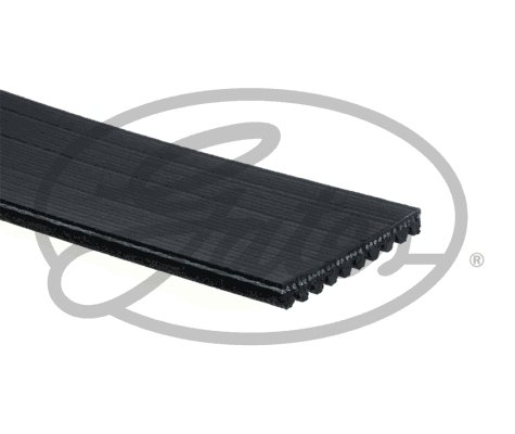 V Kayış Rvı Premıum 440-460 Dxı11 - Volvo Mercedes Cıtaro 7421190824 10Pk1350Hd