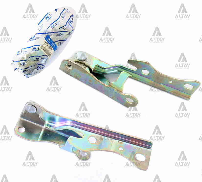 Kaput Menteşesi Starex 02-08 Sol 79110-4A000