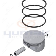 Piston Sekmanlı Q100.00 (Std)1.50X1.50X3.00 01.01.017 İçin Rk.01.866