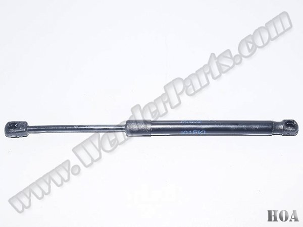 Kaput Amortisörü I01 - 51237299161