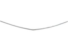 Tampon Nikelajı C207 Ön Orta 2009-13 - 2078852321