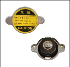 Kapak Radyator (45.5Mm*25.5Mm)- H100/L300/Cıvıc/Accent/Cerato/323/626