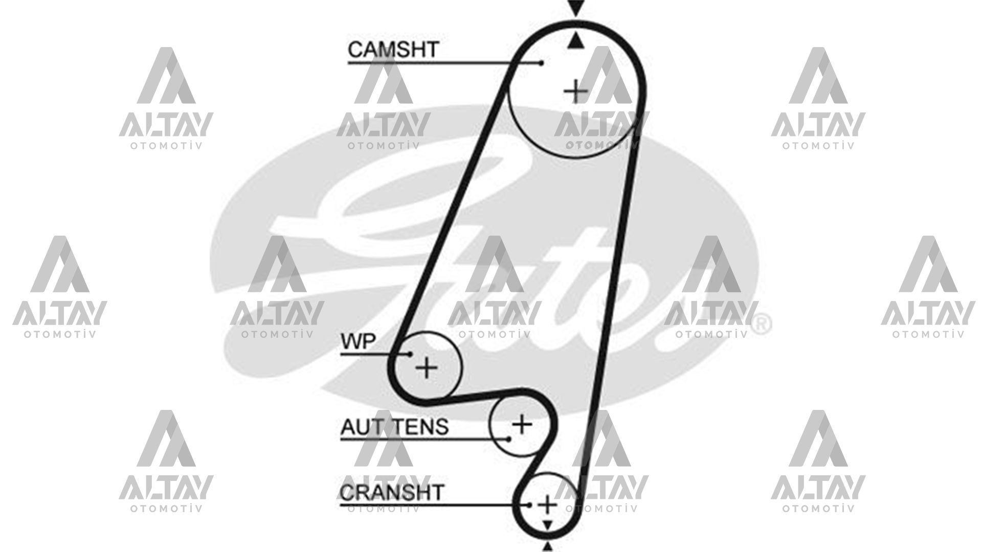 TRİGER KAYIŞI (146 DİŞ) VECTRA A C18SV-C20NE