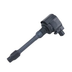 Atesleme Bobını (Pıpo Tıp)- Cıvıc 1.6 Cc 17- / Crv 16- Rıc090