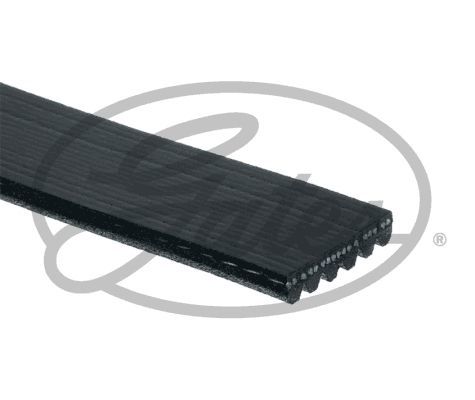 Jaguar 6Pk2747 V Kayışı 2W4E8620Aa 4R8E8620Aa C2C28085 C2S5231