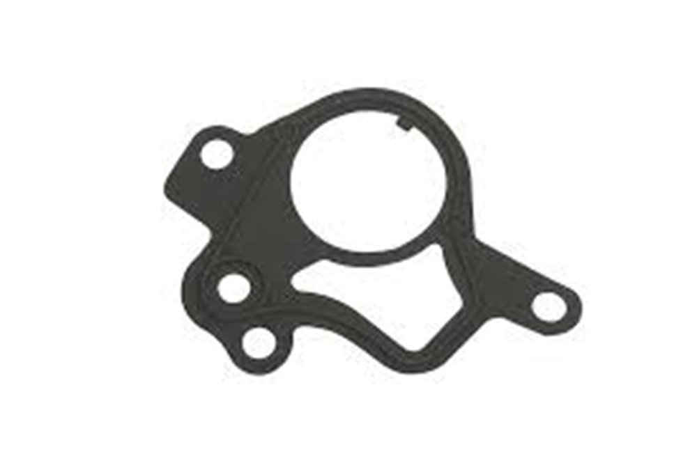 CONTA - VAKUM POMPASI R.R SPORT 3.0 LAND ROVER LR096060