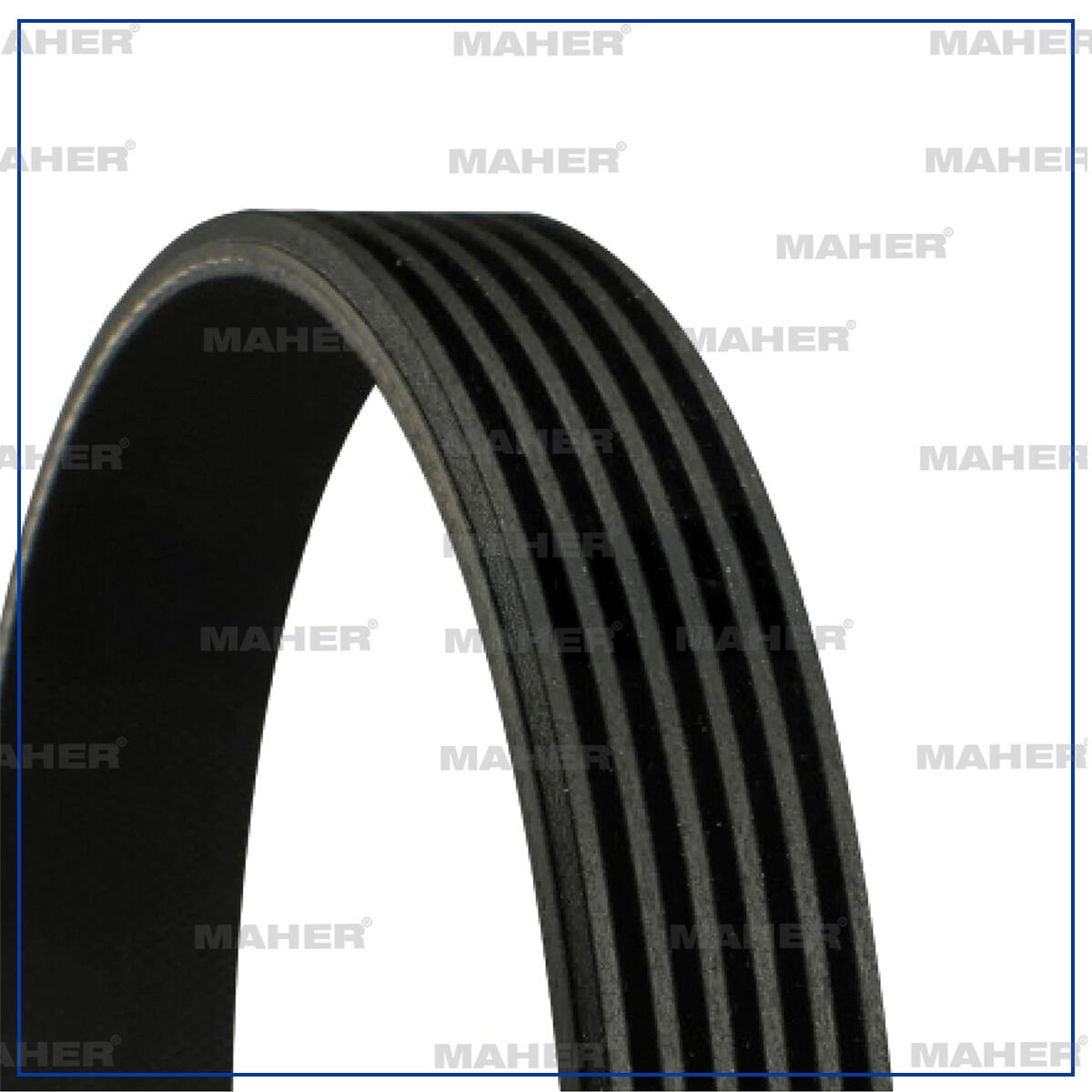 KANALLI KAYIŞ FOCUS 04-12 1.6TDCI / 307 1.4HDI / JAGUAR / SUZUKI BOLENO 96-02 1.6