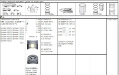 Piston Segmanlı Om646.986 Euro4  A6460300817 A6460300817  A6510301017