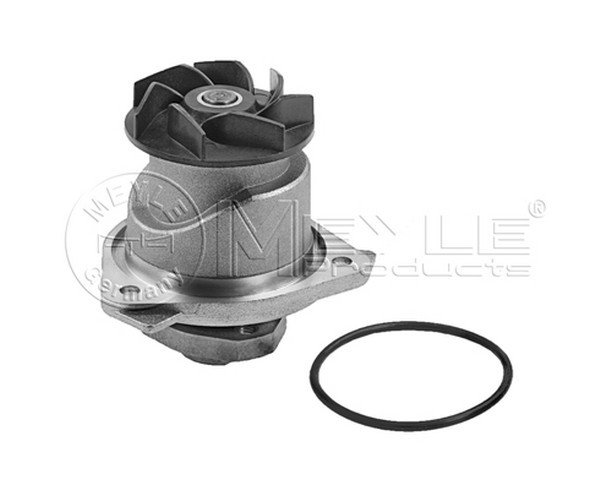 SU POMPASI TOUARENG 3.6F Sİ 022121011A