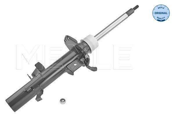 Şase Amortisörü Ön Sağ Freelander2 2006-14 - LR031667