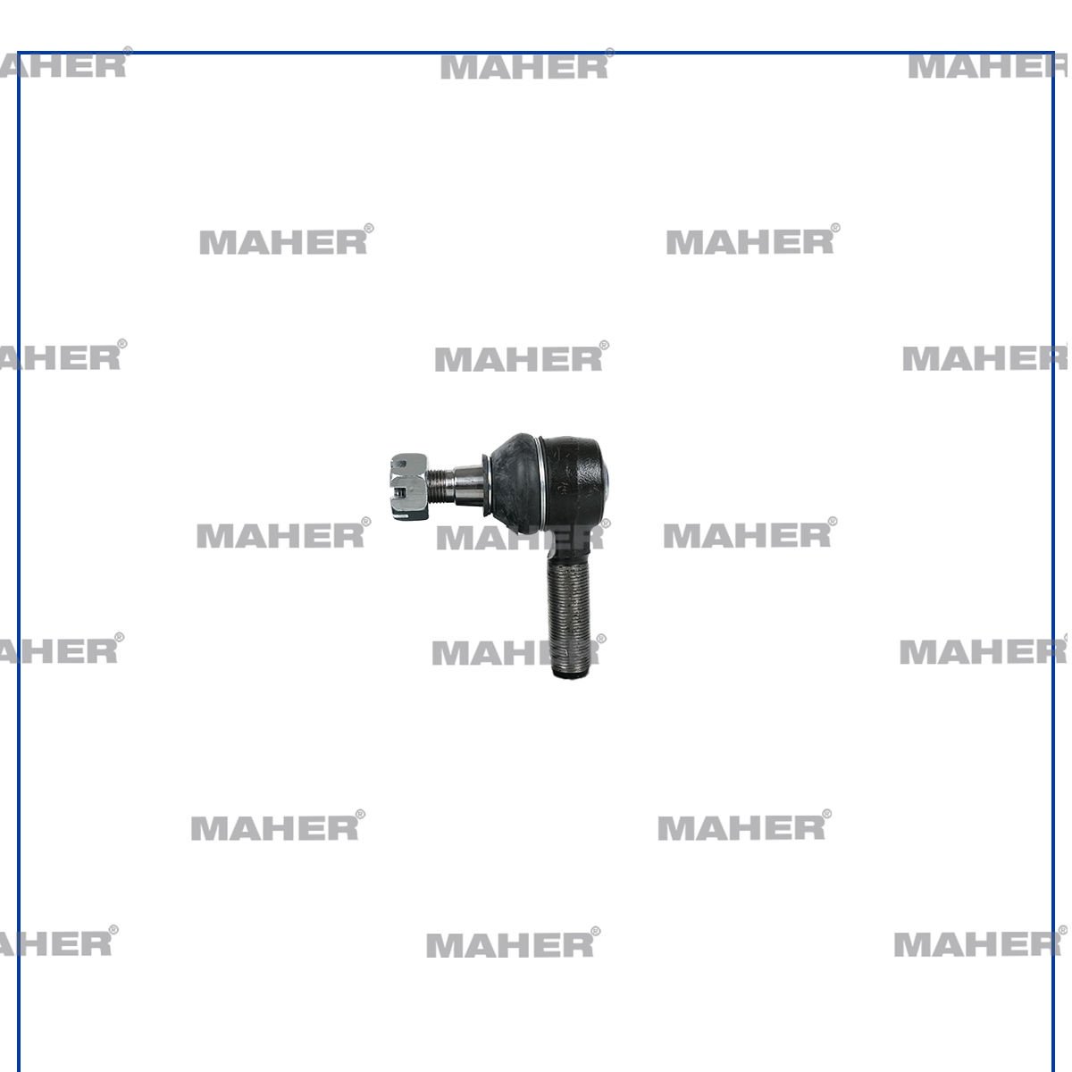 ROTBAŞI NKR / NPR / ŞAMPİYON SOL